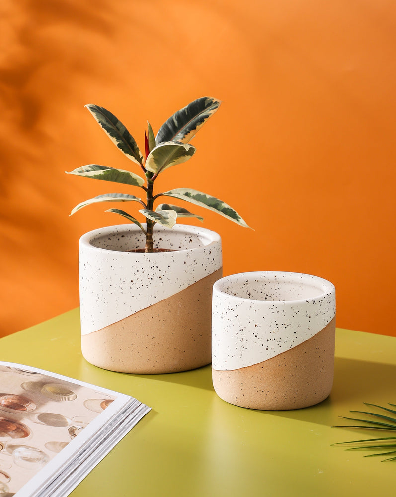 Sesame Pot