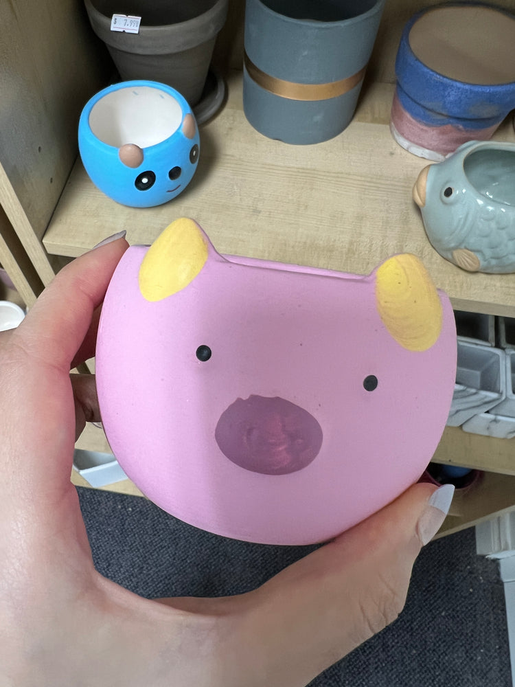 
                
                    Load image into Gallery viewer, The Discount (Cracked) Pot - 4.6
                
            