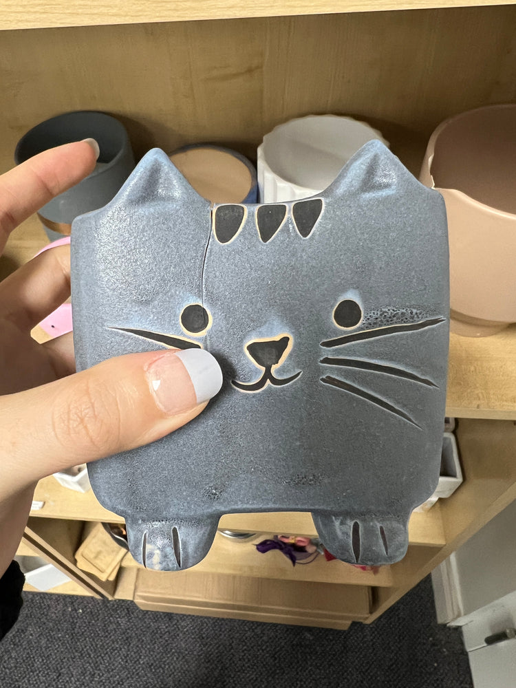 
                
                    Load image into Gallery viewer, The Discount (Cracked) Pot - 4.6
                
            