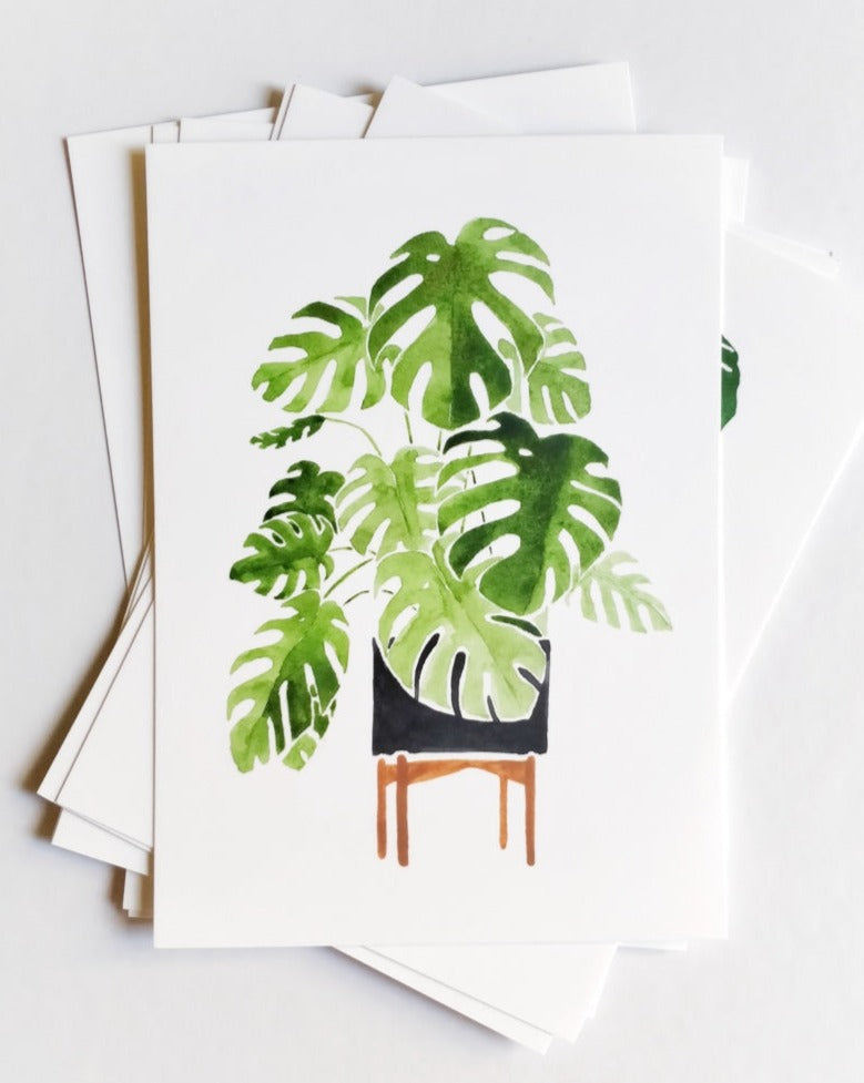 Monstera