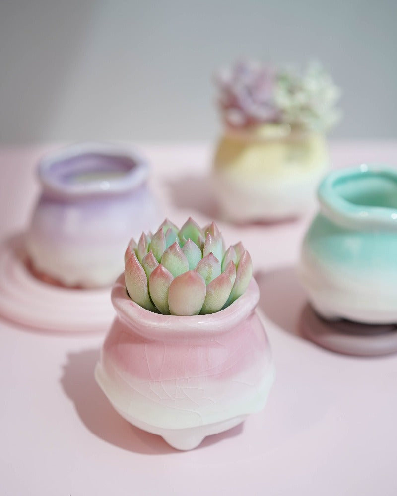 Dripping Glazed Lotus Pots