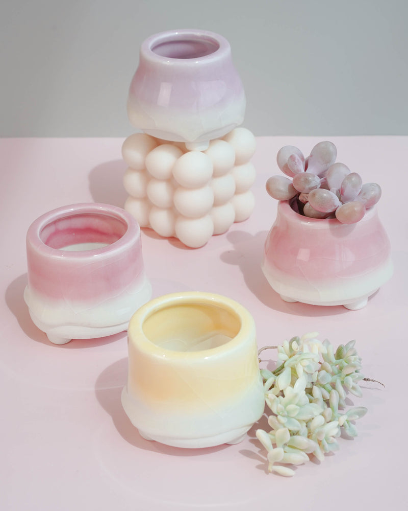 
                
                    Load image into Gallery viewer, Succulent Assortment with Dripping Texture Planters
                
            
