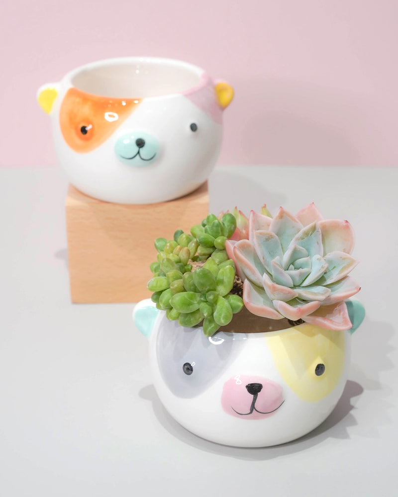 Succulent Assortment with Animal Planters