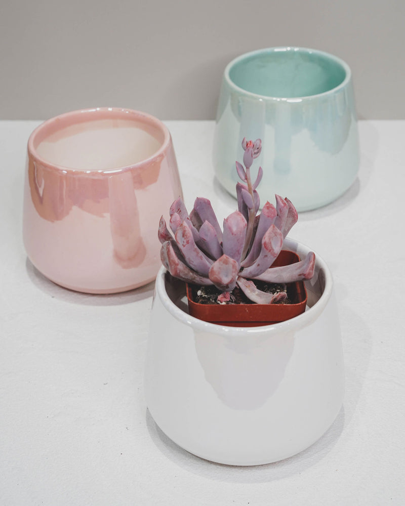 Glass Glazed Shooting Star