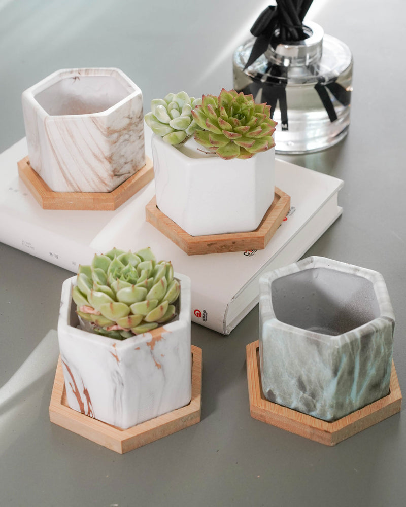 Marble Pattern Planter with Saucer Hexagon