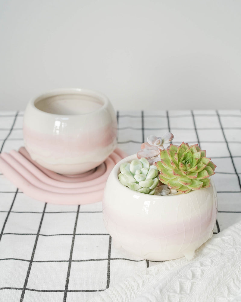 
                
                    Load image into Gallery viewer, Succulent Assortment with Dripping Texture Planters
                
            