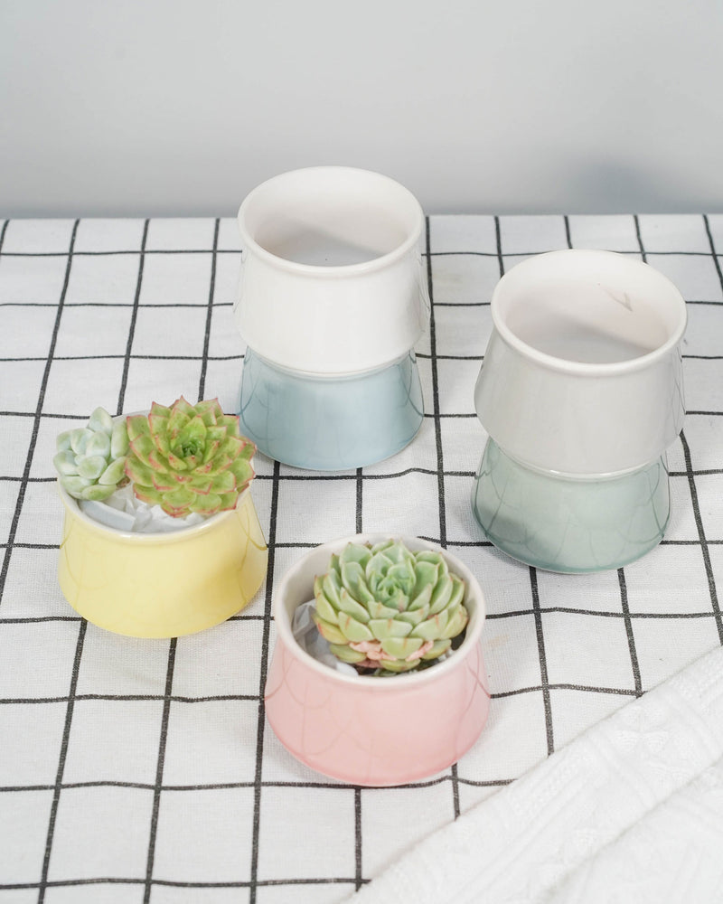 Small pot collection