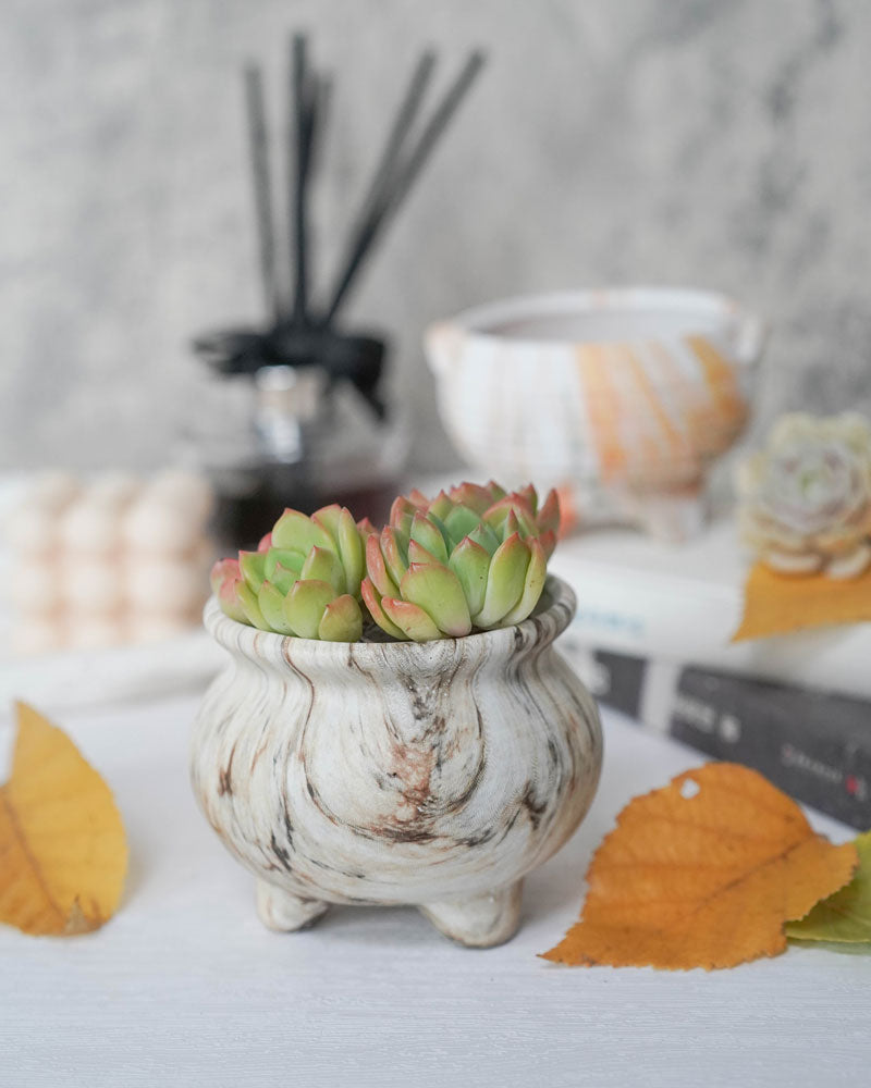 Rippled Marble Pot with Foot Round