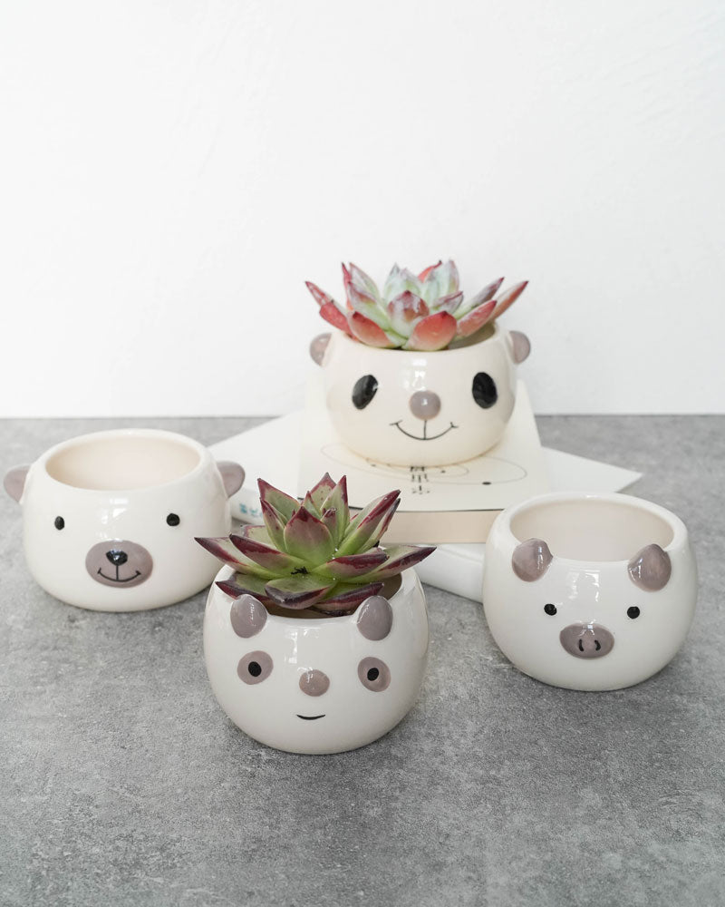 Animal Face Pots