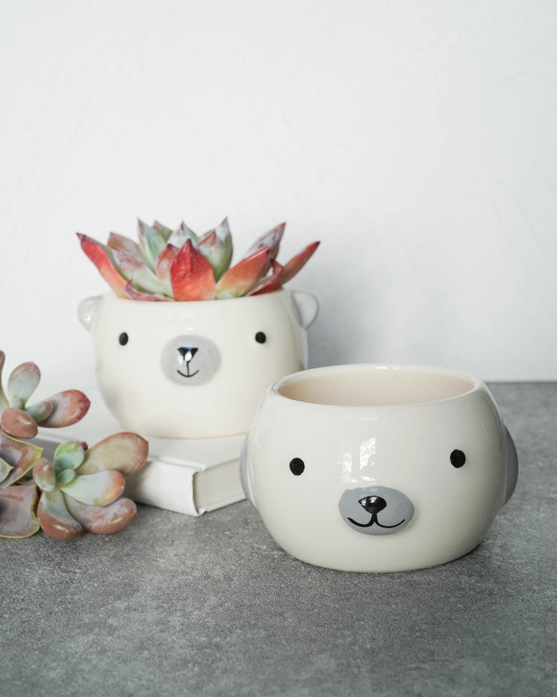 Animal Face Pots