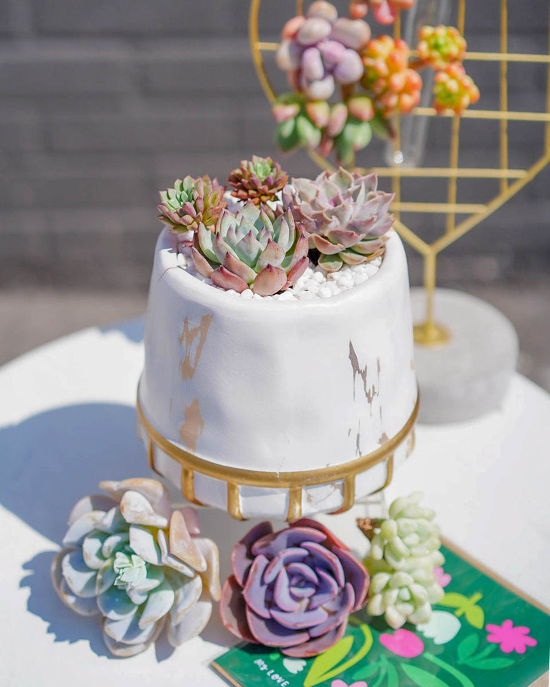 "Love Blooms" Succulent Flower Boutique Gold