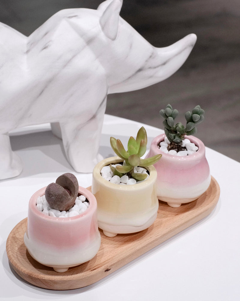 Dripping Glazed Finger Pots Pink Color