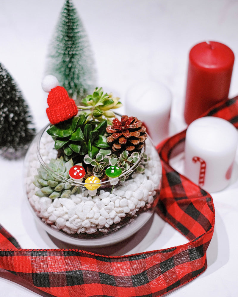 Limited-Edition Christmas Santa Terrariums Workshop