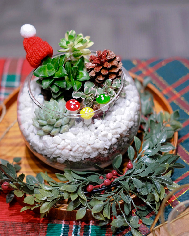 Limited-Edition Christmas Santa Terrariums Workshop
