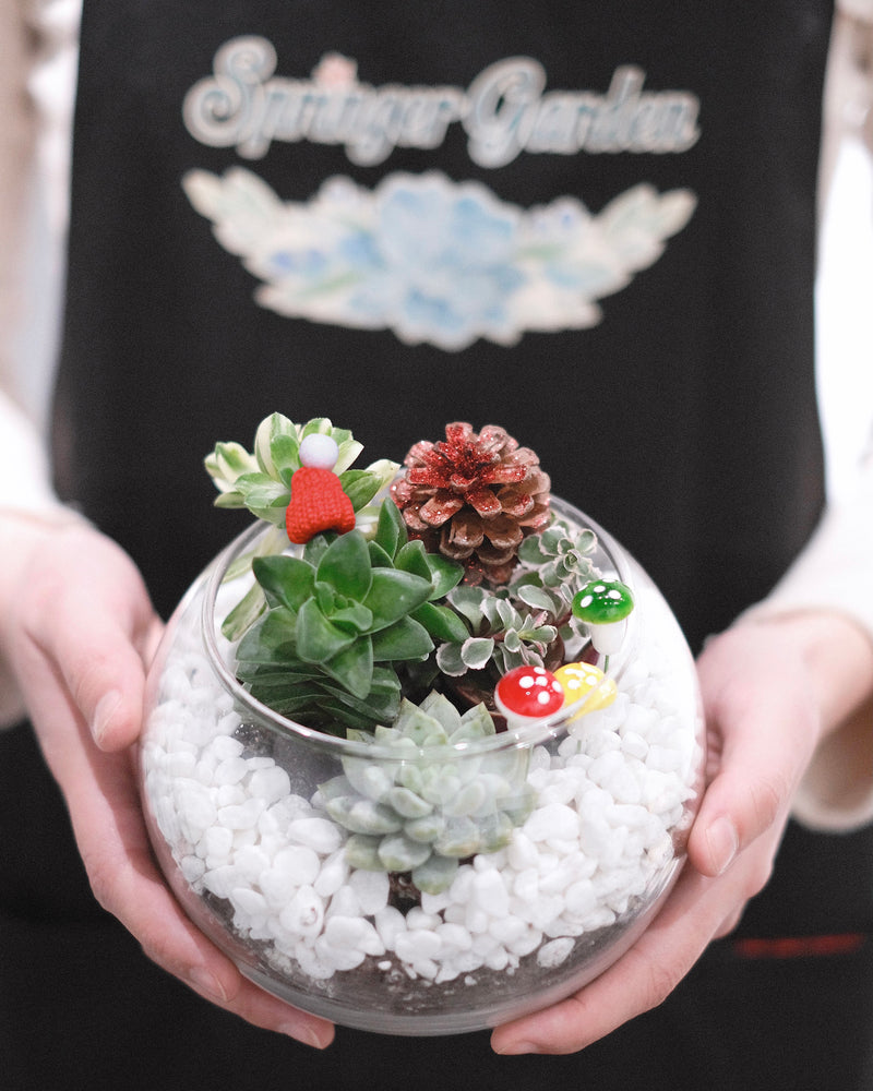 Limited-Edition Christmas Santa Terrariums