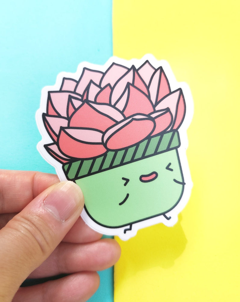 Echeveria Pink Champaigne vinyl sticker