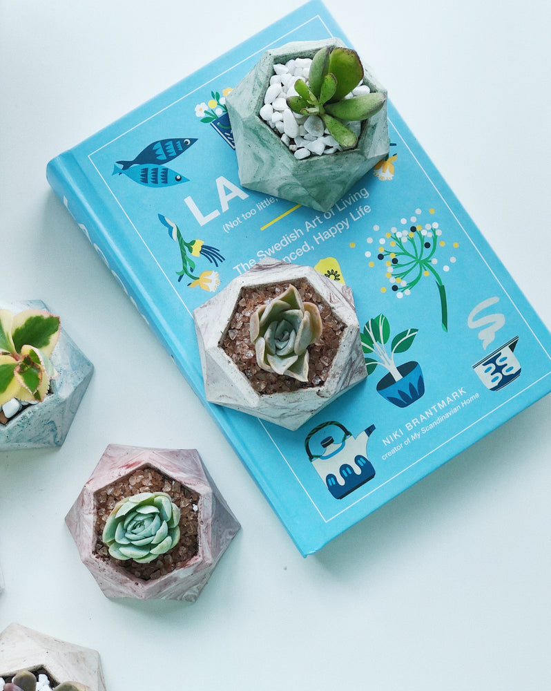 
                
                    Load image into Gallery viewer, Concrete Planter Making Workshop
                
            
