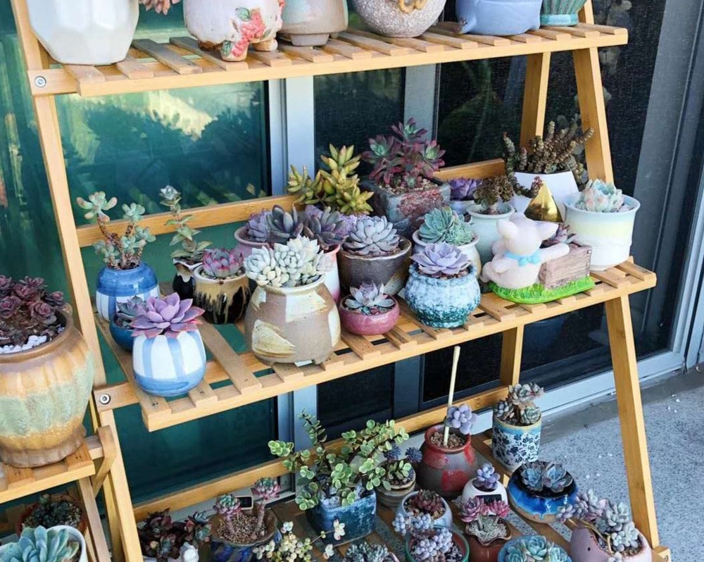 
                
                    Load image into Gallery viewer, Wood Shelf / Plant Stands
                
            