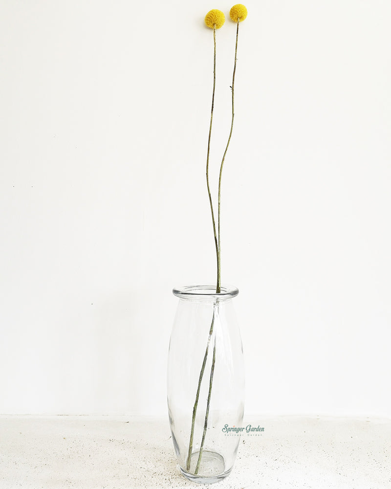 Glass Vase No.3
