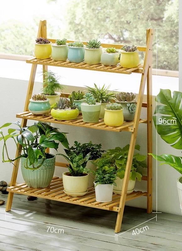 
                
                    Load image into Gallery viewer, Succulent Planter/ Succulent Pot / Table Decor / Indoor Decor / Wedding Gift  Rare and unusual living succulents and cactus
                
            